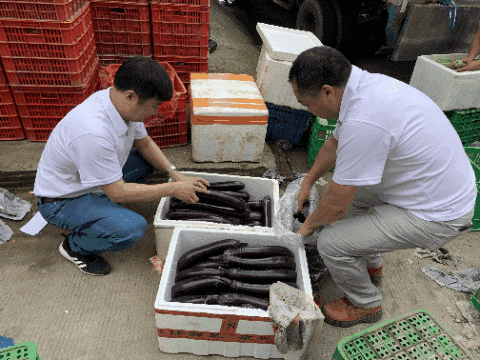 微信图片_20210618110713 微信图片_20210618110713